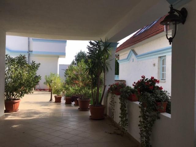 Hotel Csigahaz Panzio Gyula Exterior foto